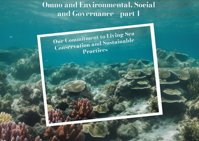 Omno and ESG (part 1): Our Commitment to Living Sea Conservation and Sustainable Practices